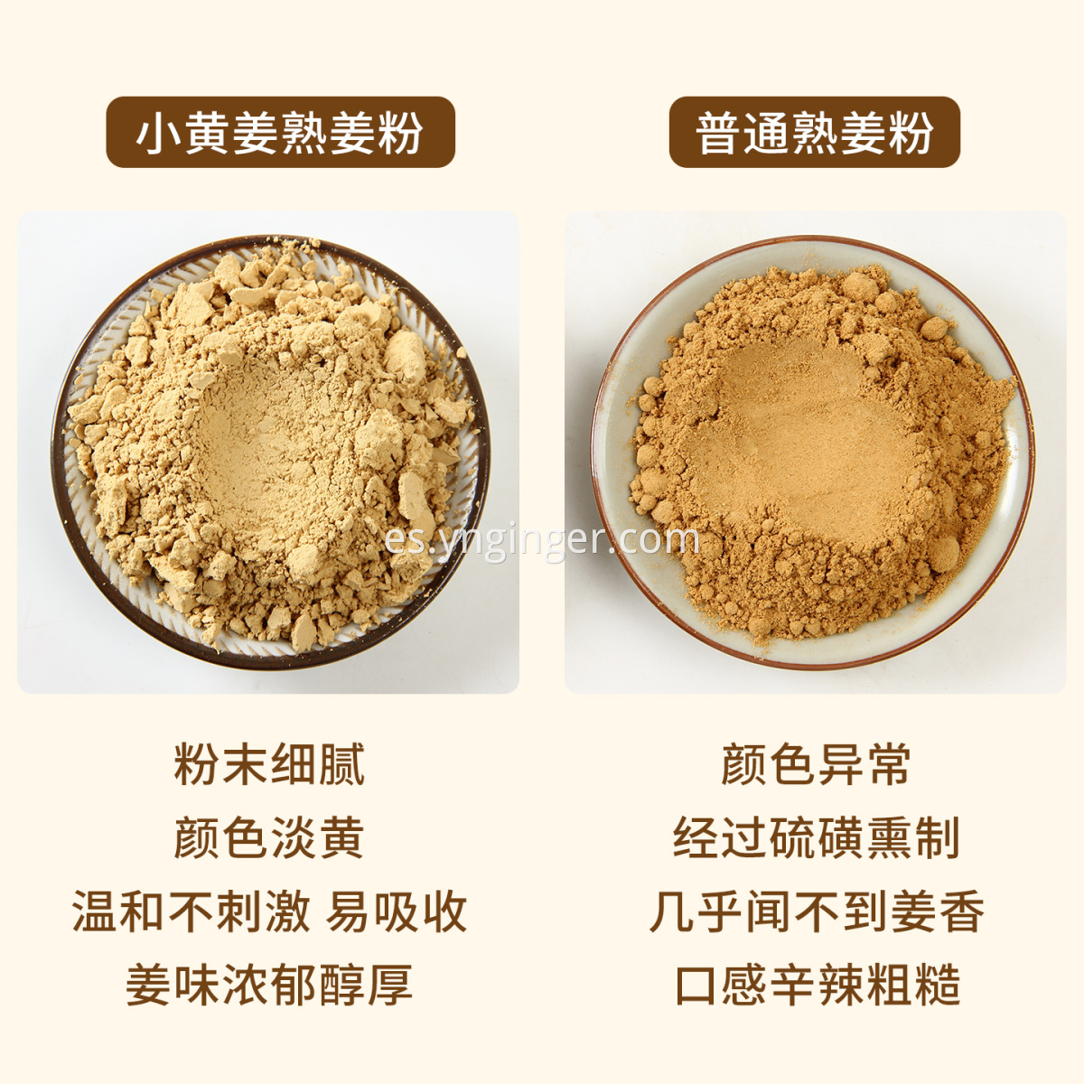 Roasted Ginger Powder
